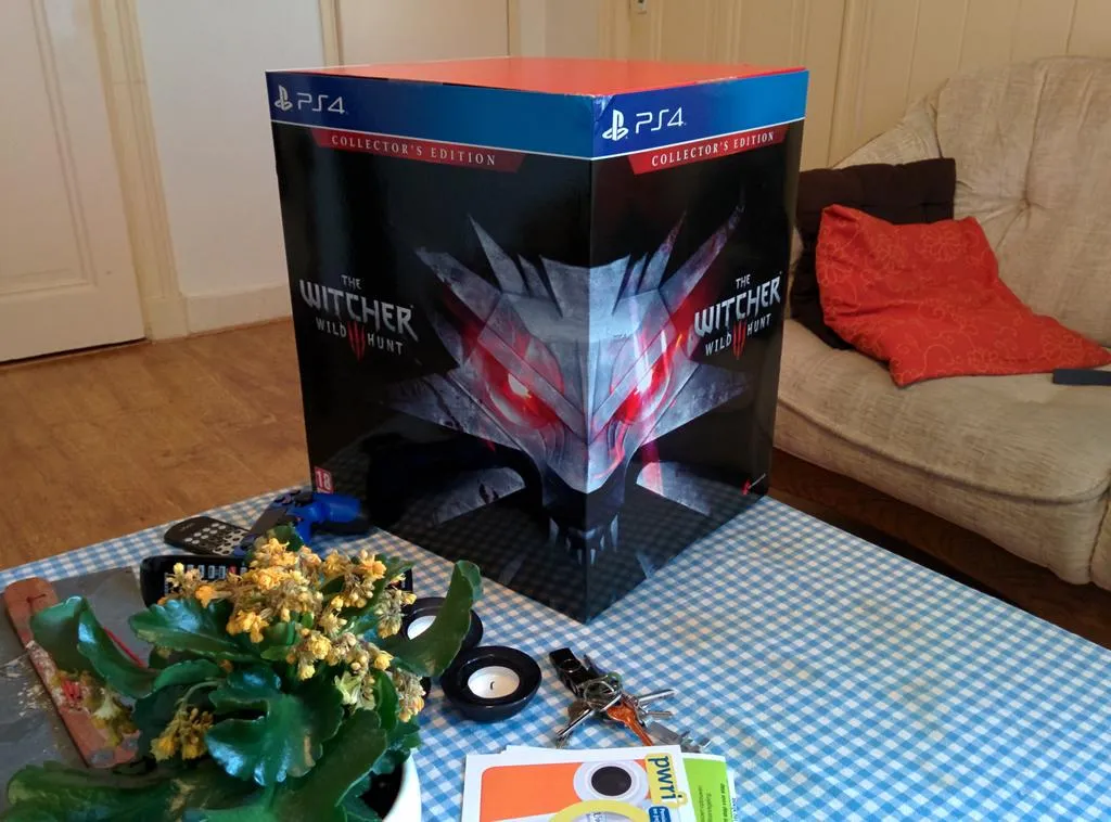 The Witcher 3 pickup
